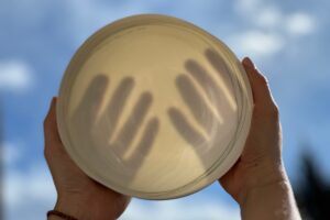 Selma Etareri, DA Loam Kunst- und Keramikstudio Graz